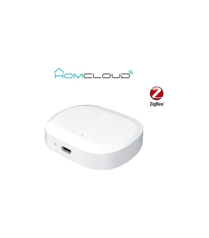 Centralina intelligente Hub - Zigbee+Bluetooth