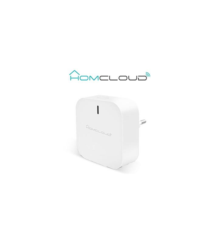 Centralina intelligente Hub a muro Zigbee+Bluetooth New