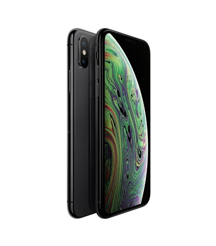 iPhone XS 512Gb Usato Grado A Garanzia 1 anno Grey