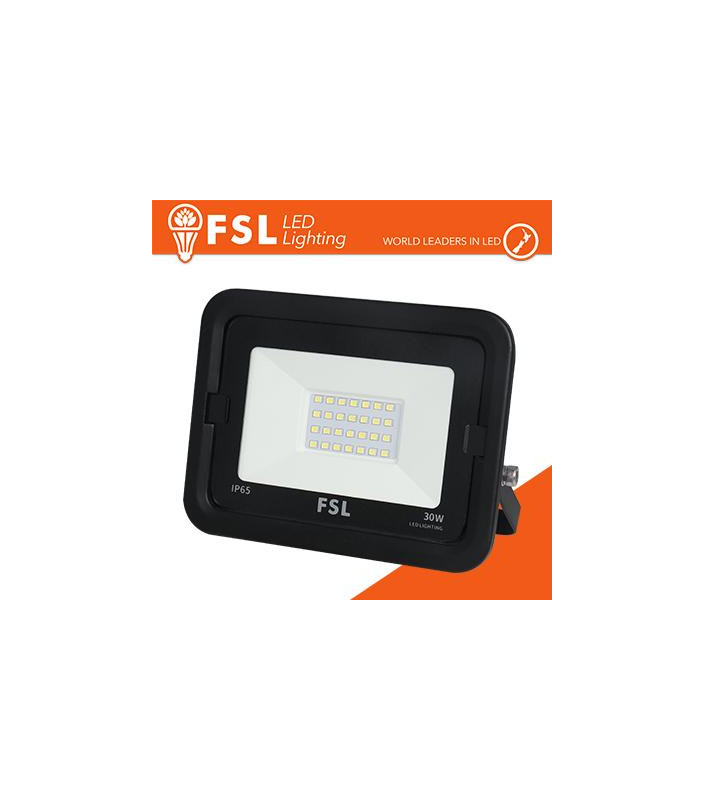 Proiettore per esterni Nero 30W - IP65 115° 6500K